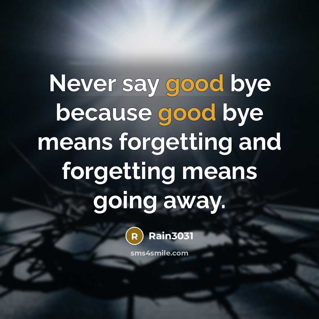 “Never say good bye because good bye means forgetting and forgetting means going away.” quote by Rain3031