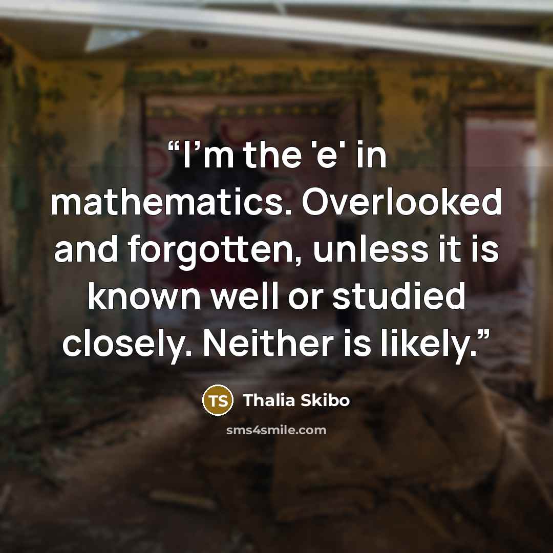 “I'm the 'e' in mathematics. Overlooked and forgotten, unless it is known well or studied closely. Neither is likely.” quote by Thalia Skibo