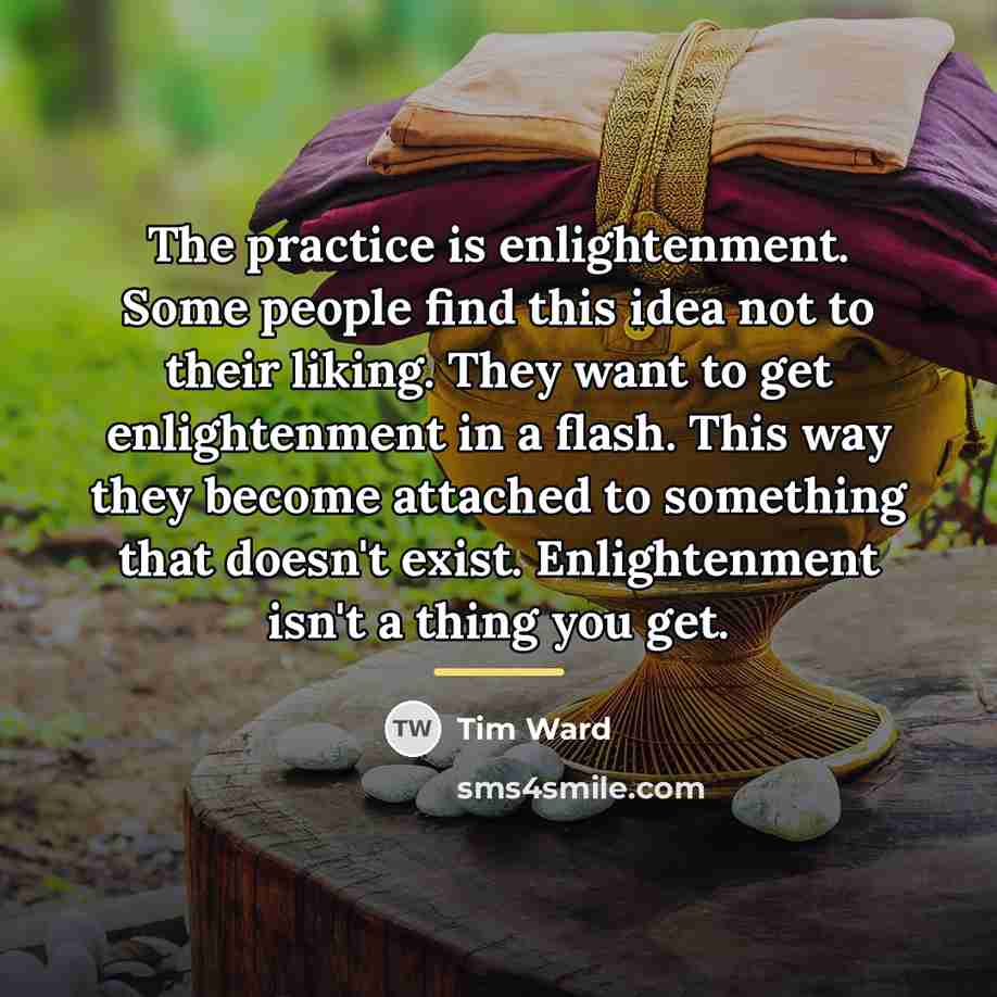 “The practice is enlightenment. Some people find this idea not…” quote by Tim Ward