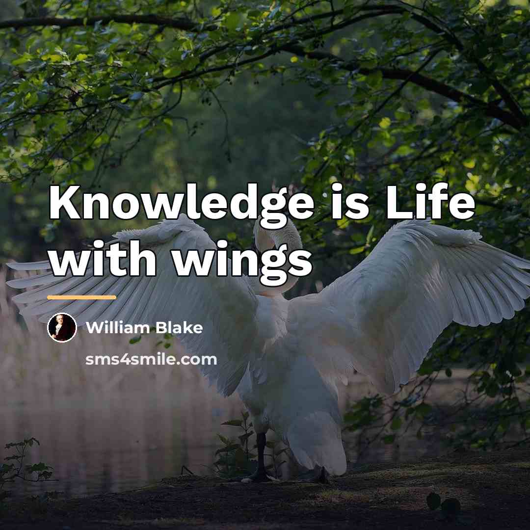 “Knowledge is Life with wings…” quote by William Blake