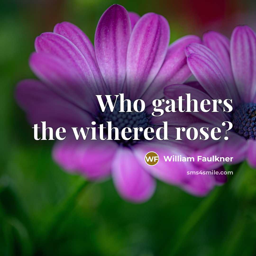 “Who gathers the withered rose?…” quote by William Faulkner