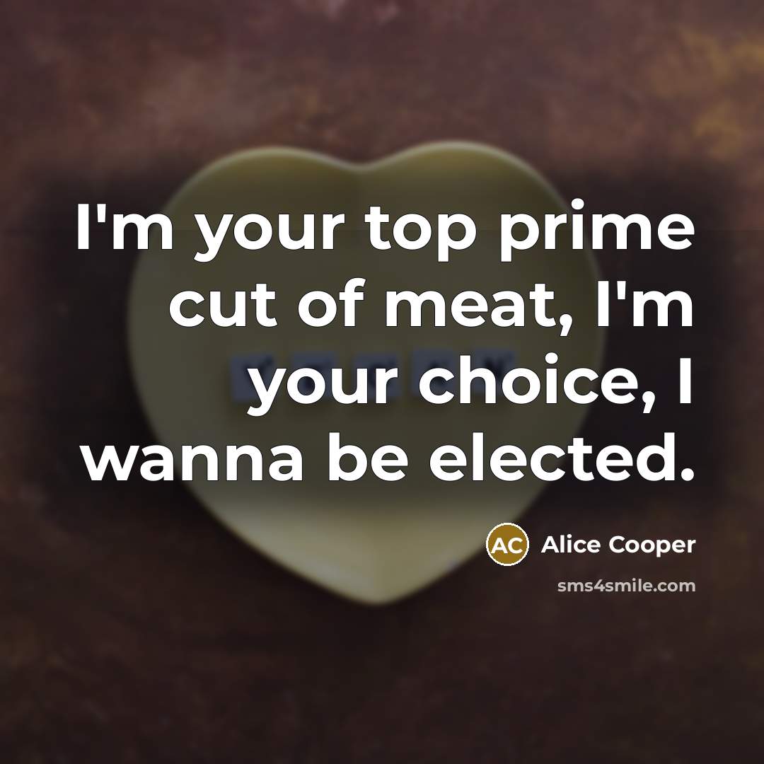 “I'm your top prime cut of meat, I'm your choice,…” quote by Alice Cooper