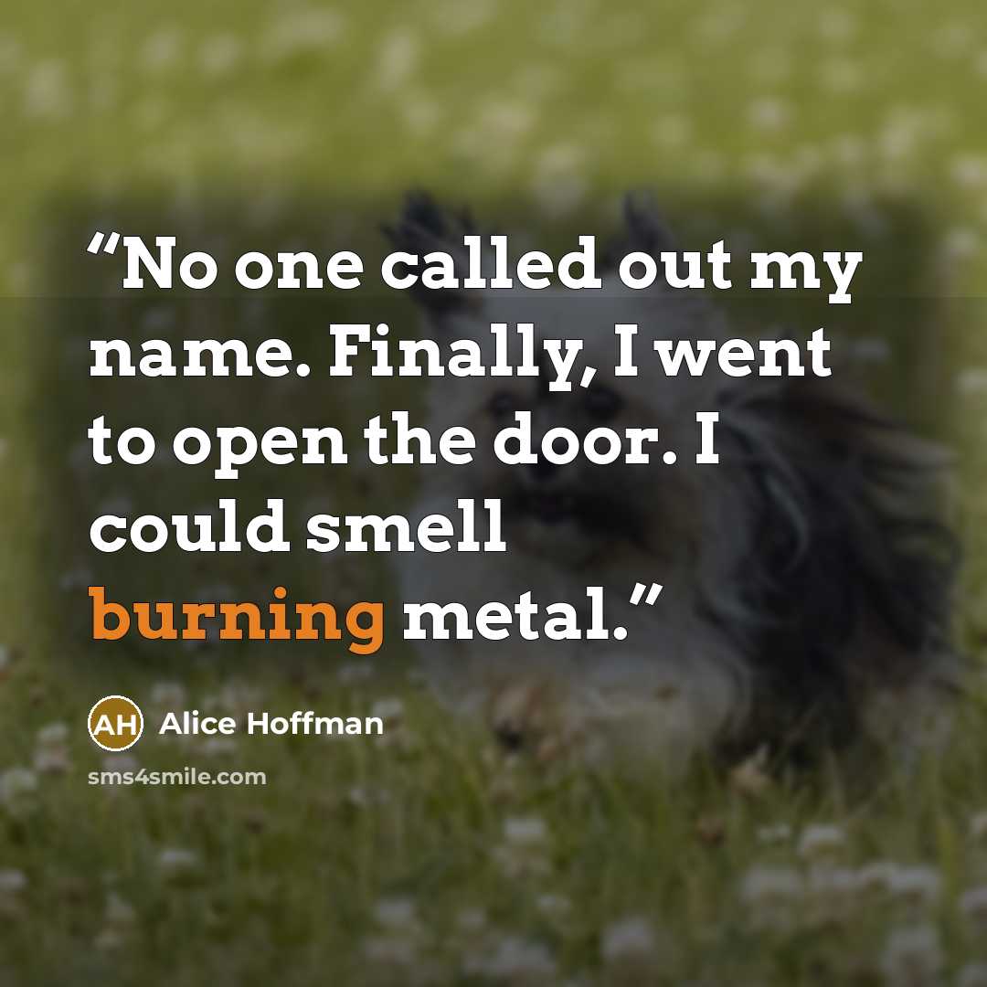 “No one called out my name. Finally, I went to open the door. I could smell burning metal.” quote by Alice Hoffman