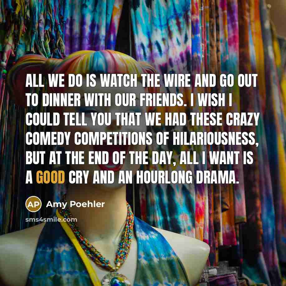 “All we do is watch The Wire and go out…” quote by Amy Poehler
