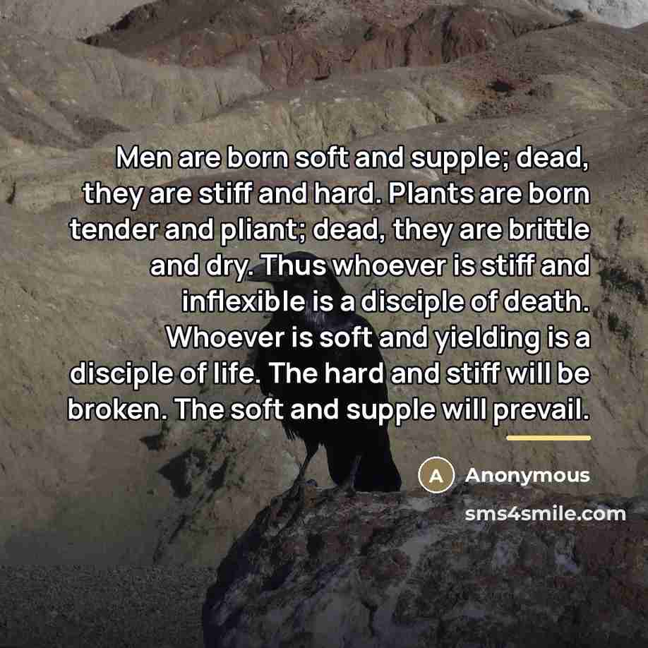 “Men are born soft and supple; dead, they are stiff…” quote by Anonymous