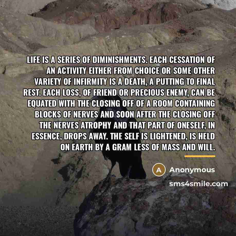 “Life is a series of diminishments. Each cessation of an…” quote by Anonymous