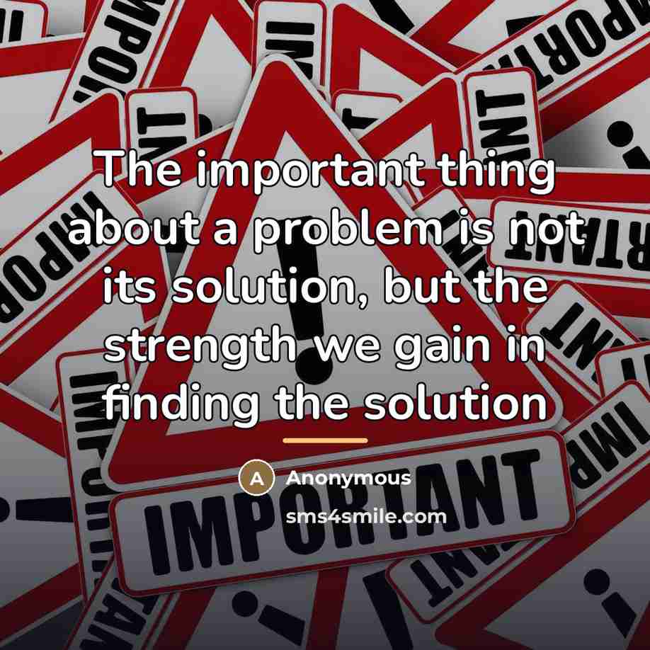 “The important thing about a problem is not its solution,…” quote by Anonymous