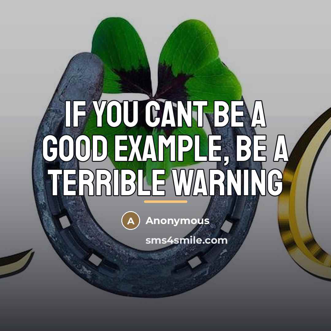 “If you cant be a good example, be a terrible…” quote by Anonymous