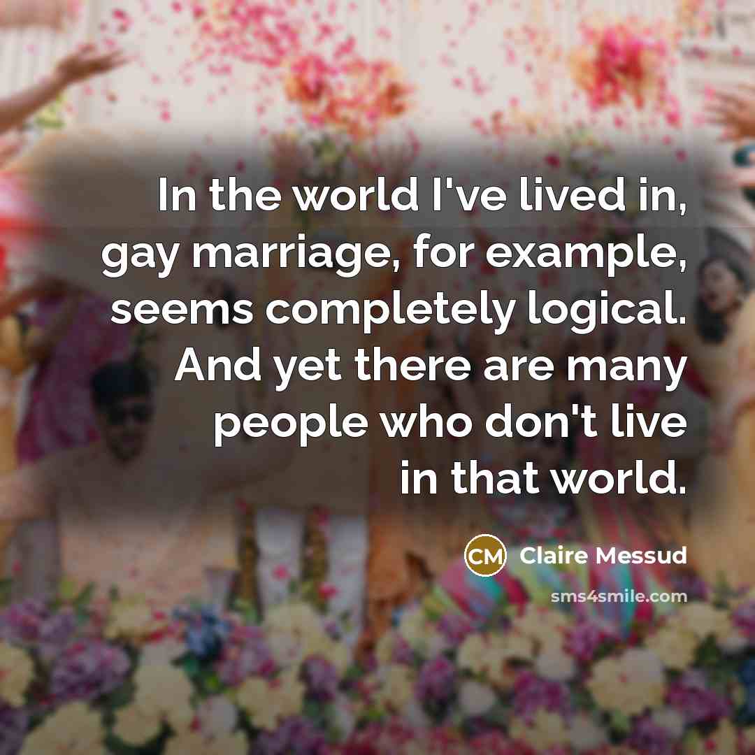 “In the world I've lived in, gay marriage, for example,…” quote by Claire Messud
