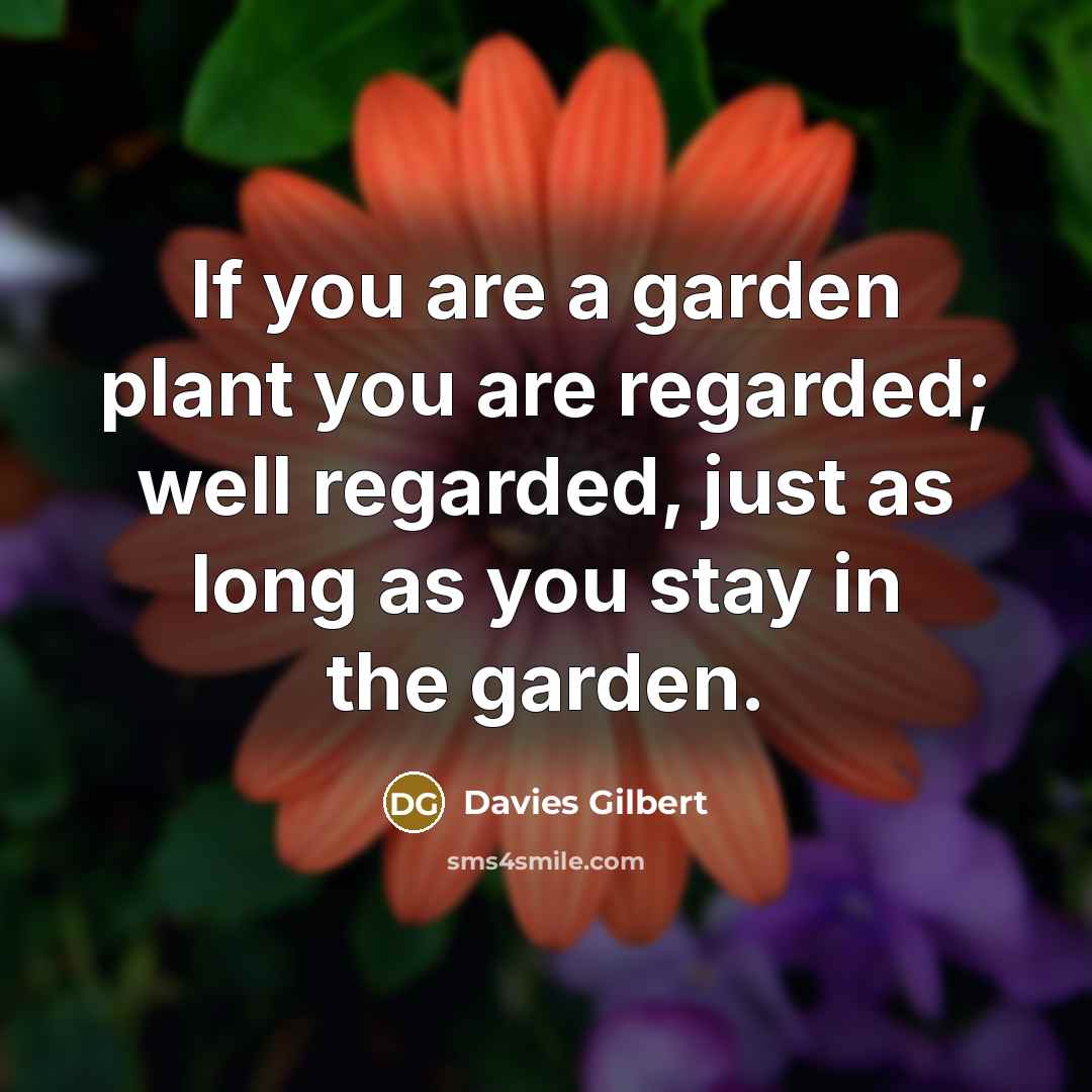 “If you are a garden plant you are regarded; well…” quote by Davies Gilbert