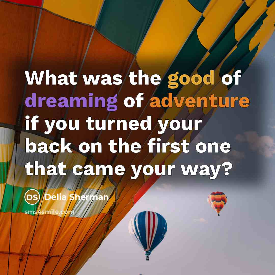 “What was the good of dreaming of adventure if you…” quote by Delia Sherman