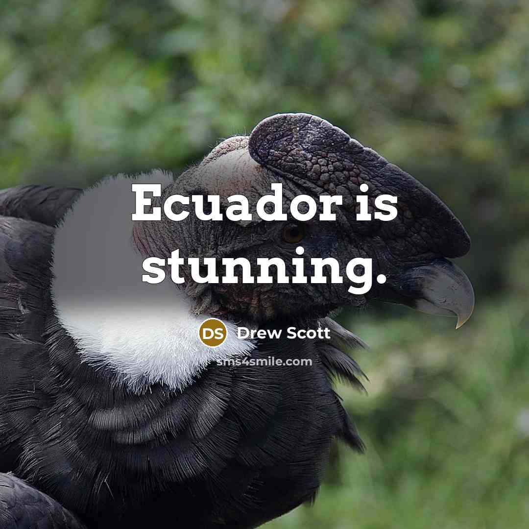 “Ecuador is stunning.…” quote by Drew Scott