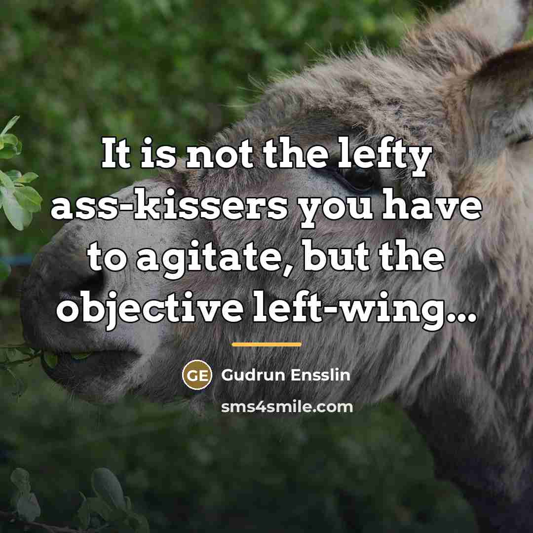 “It is not the lefty ass-kissers you have to agitate,…” quote by Gudrun Ensslin