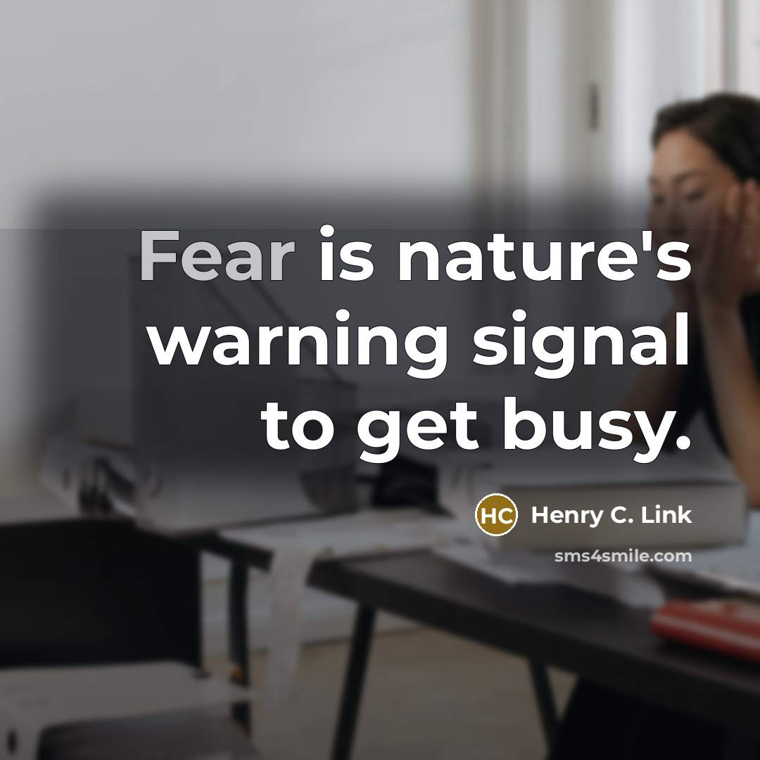 “Fear is nature's warning signal to get busy.…” quote by Henry C. Link
