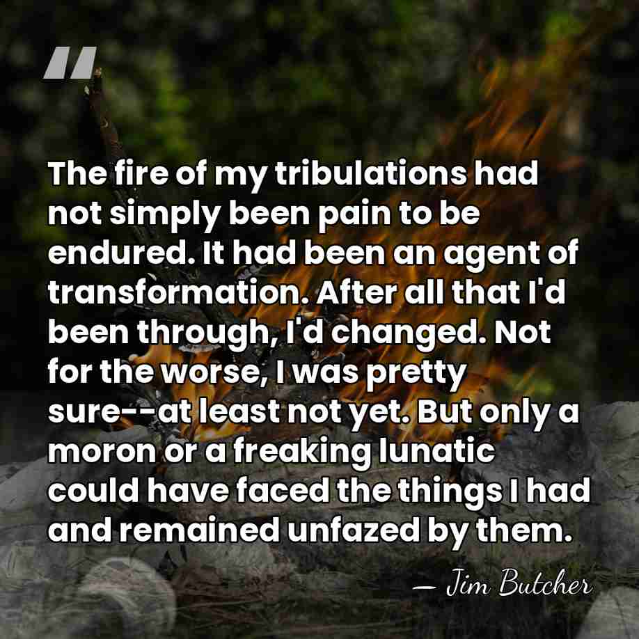 The fire of my tribulations had not simply been pain to be&hellip; - Jim Butcher