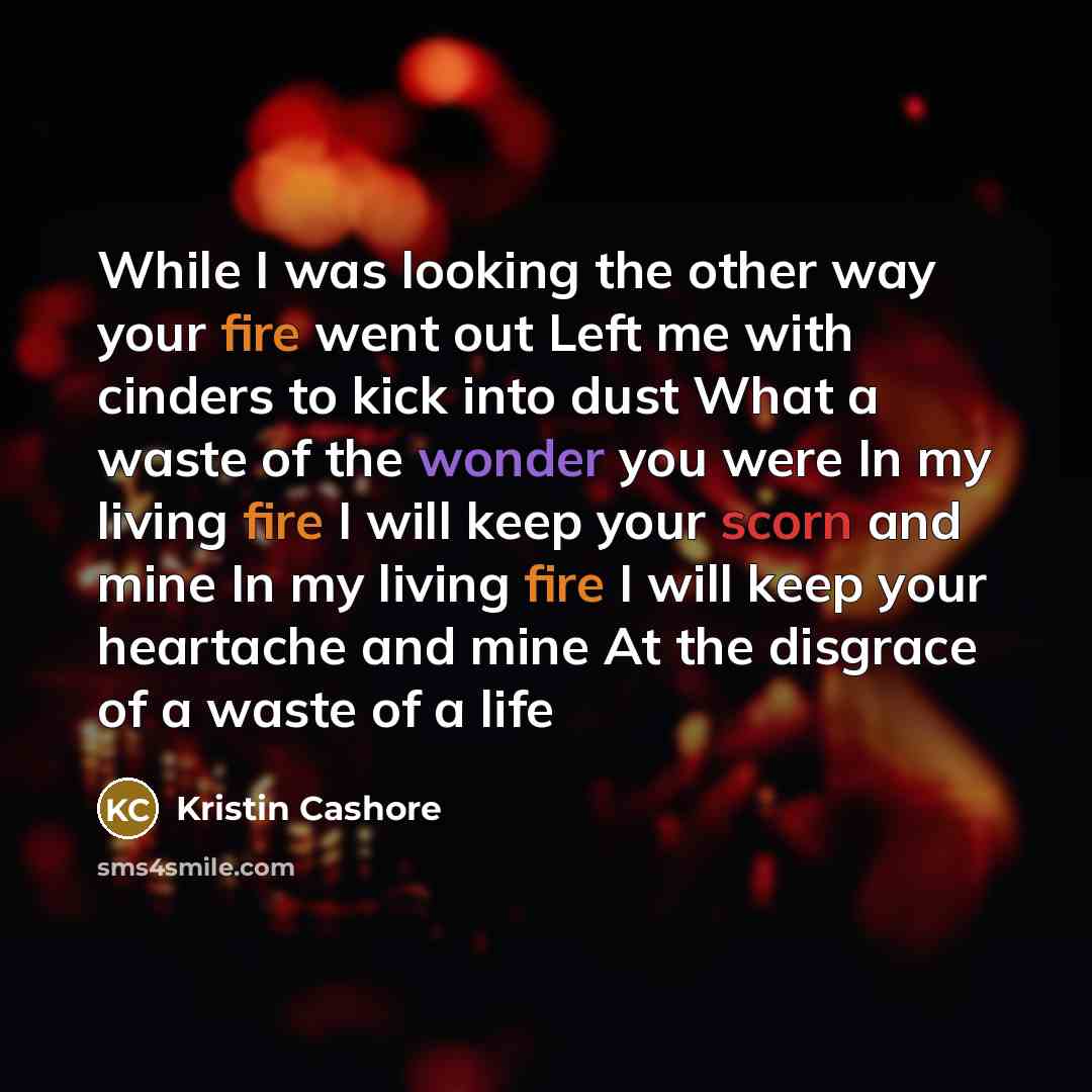 “While I was looking the other way your fire went…” quote by Kristin Cashore