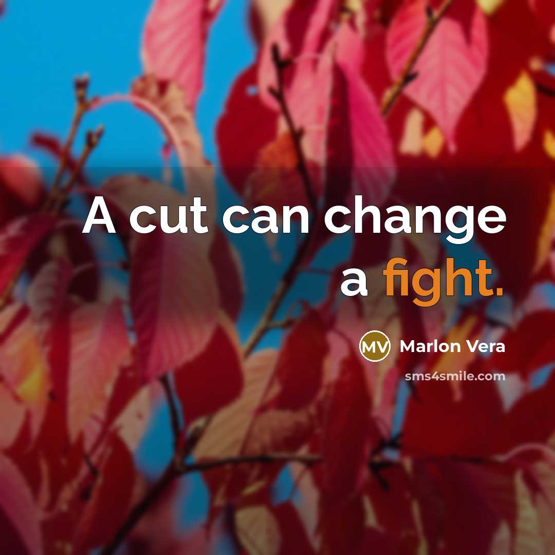 “A cut can change a fight.…” quote by Marlon Vera