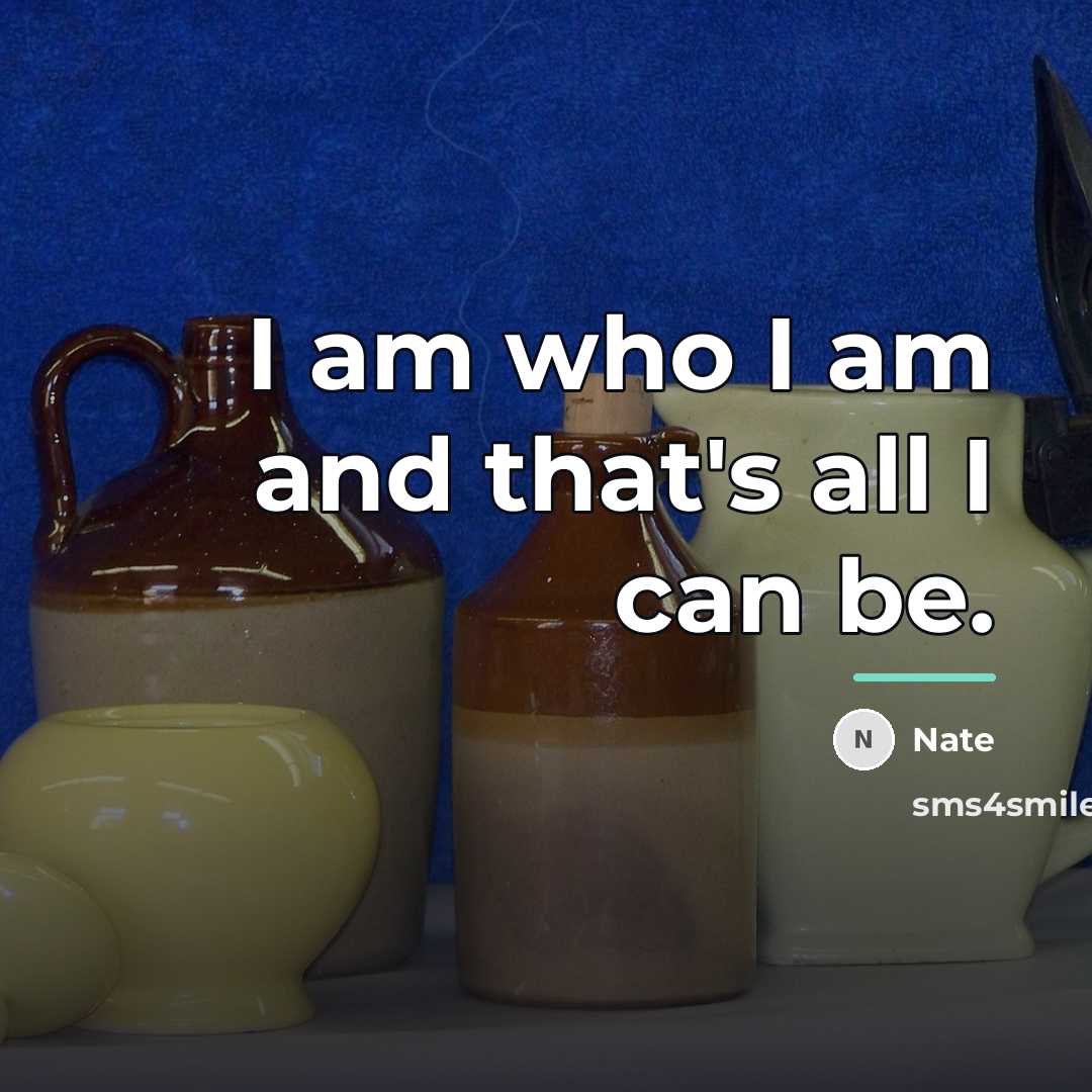 “I am who I am and that's all I can…” quote by Nate