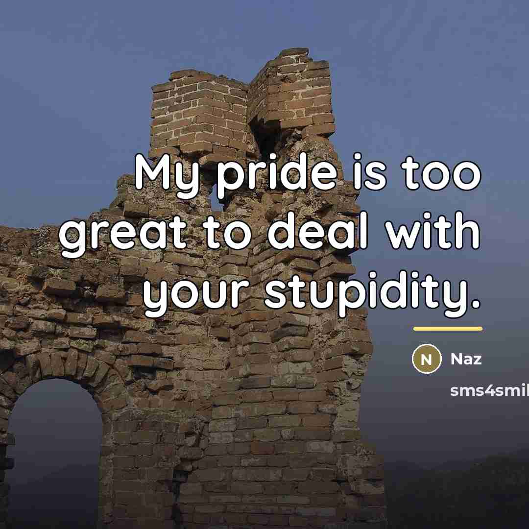 “My pride is too great to deal with your stupidity.…” quote by Naz