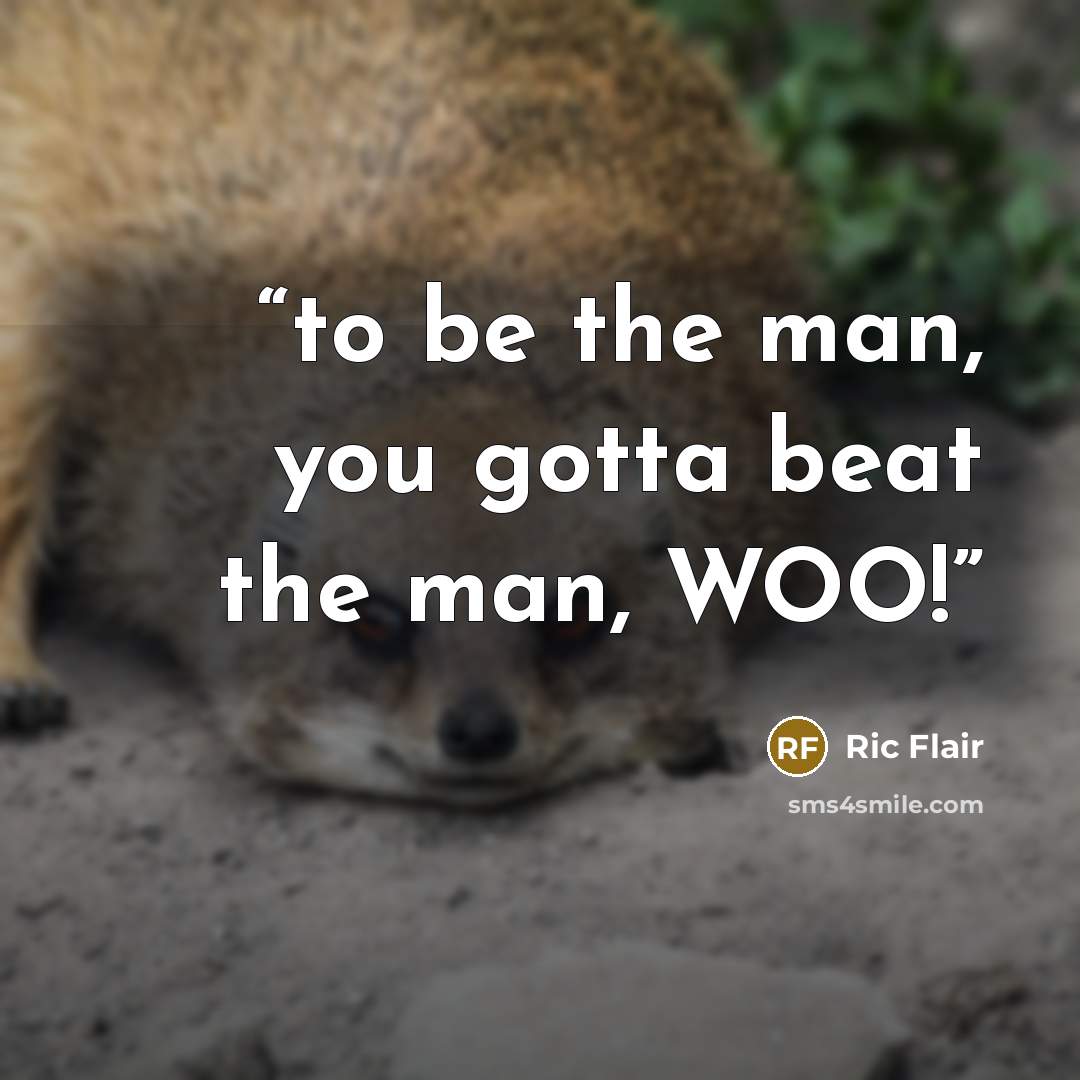 “to be the man, you gotta beat the man, WOO!” quote by Ric Flair