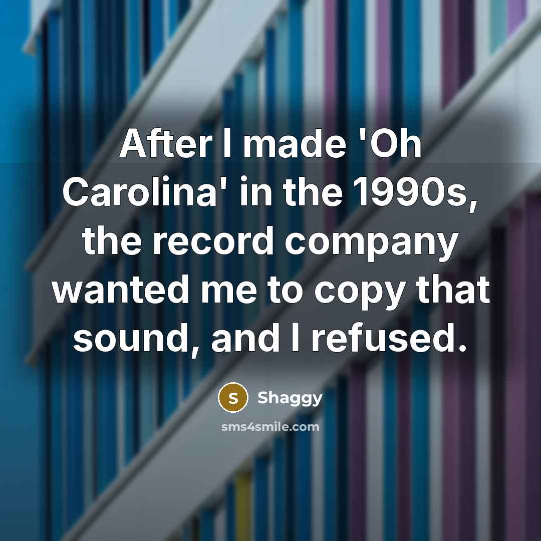 “After I made 'Oh Carolina' in the 1990s, the record…” quote by Shaggy