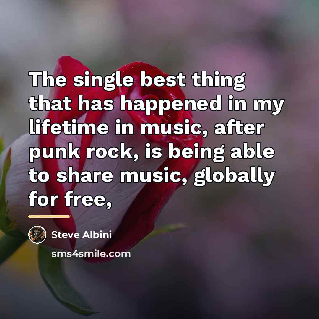 “The single best thing that has happened in my lifetime…” quote by Steve Albini