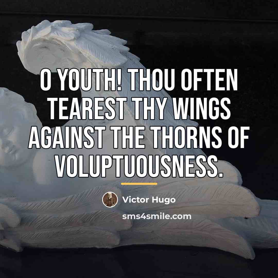 “O youth! thou often tearest thy wings against the thorns…” quote by Victor Hugo