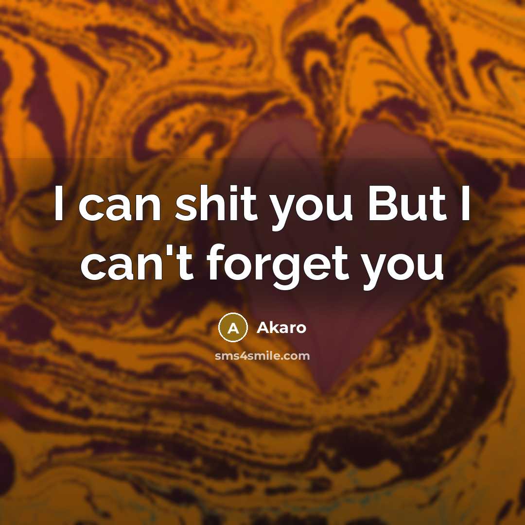 “I can shit you But I can't forget you” quote by Akaro
