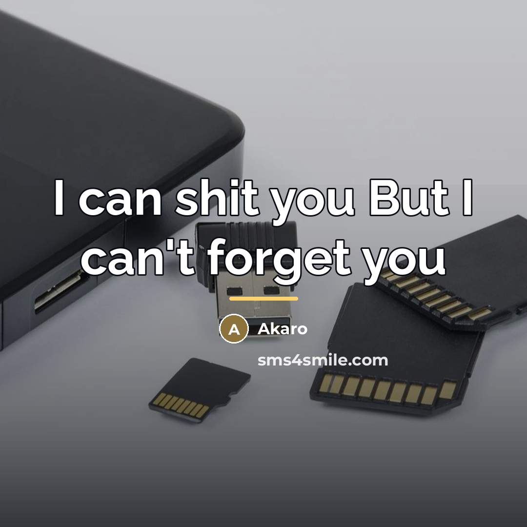 “I can shit you But I can't forget you…” quote by Akaro