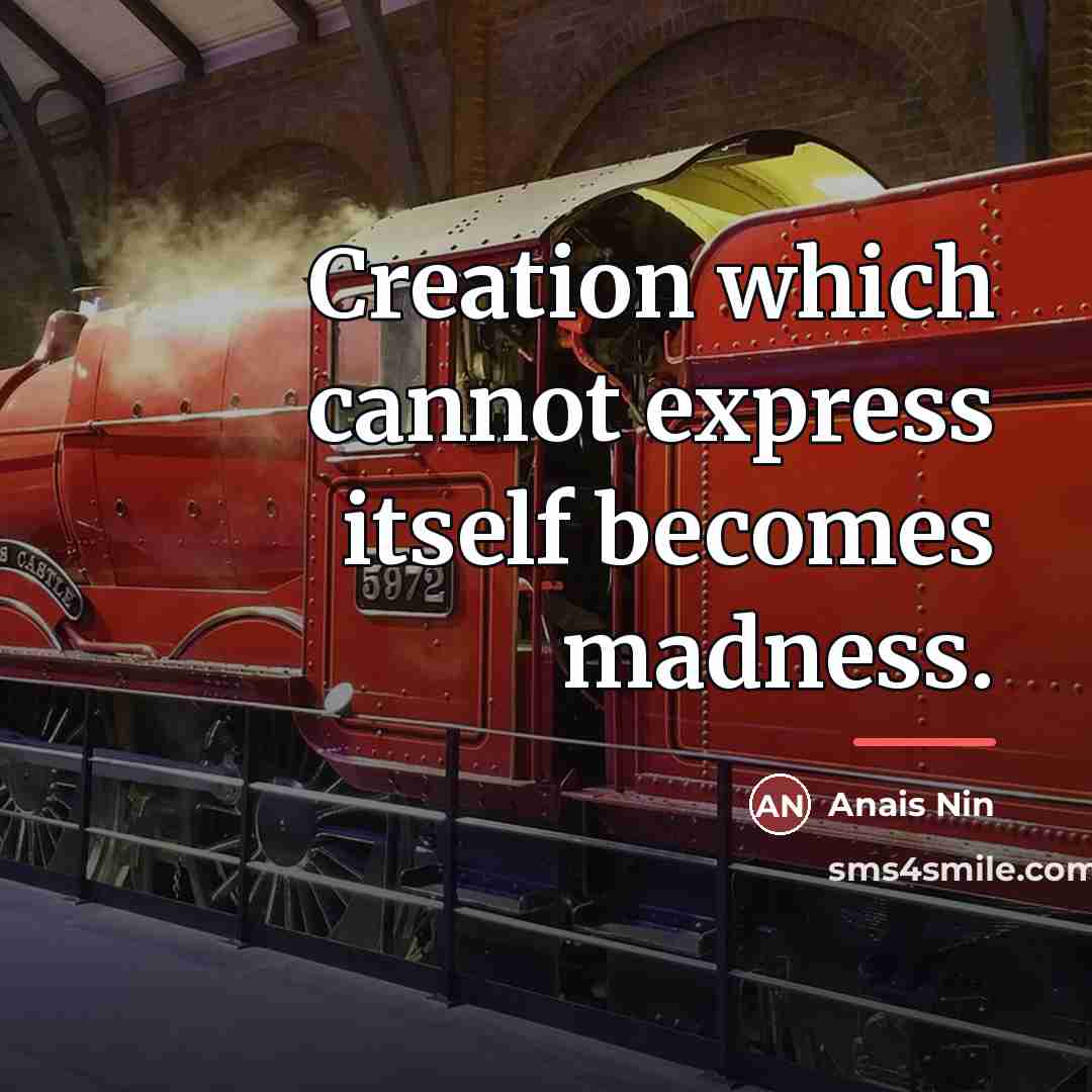 “Creation which cannot express itself becomes madness.…” quote by Anais Nin