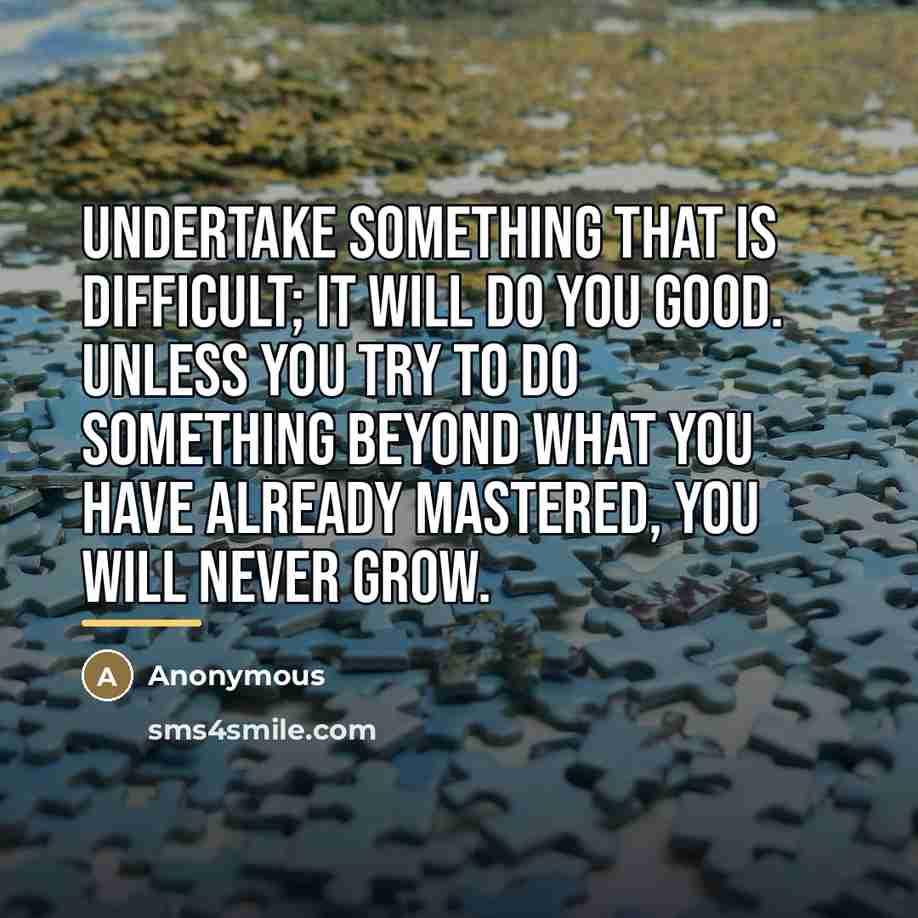 “Undertake something that is difficult; it will do you good.…” quote by Anonymous