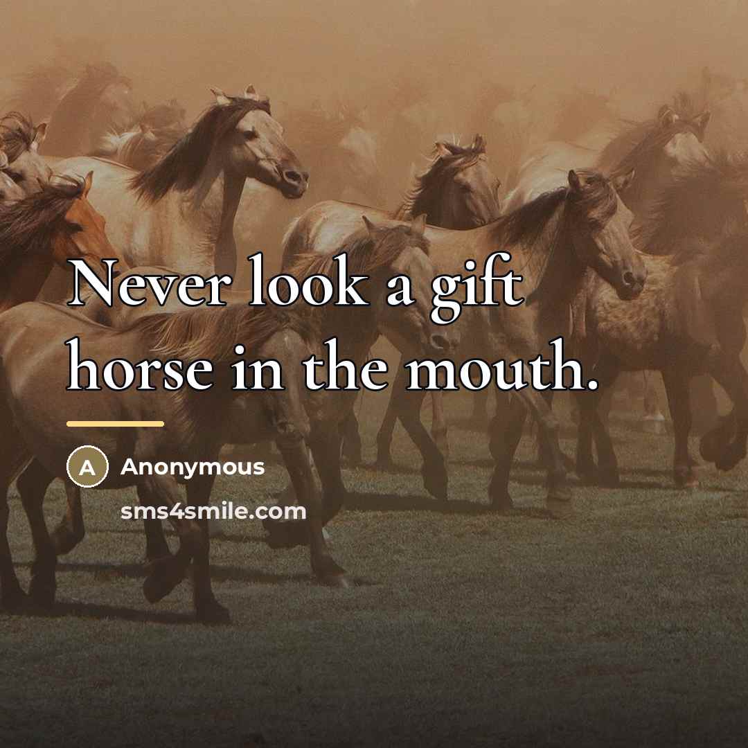 “Never look a gift horse in the mouth.…” quote by Anonymous
