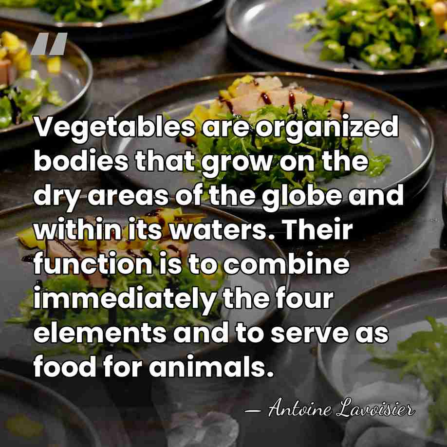 Vegetables are organized bodies that grow on the dry areas of the&hellip; - Antoine Lavoisier