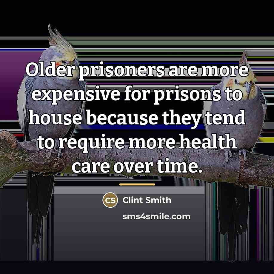 “Older prisoners are more expensive for prisons to house because…” quote by Clint Smith