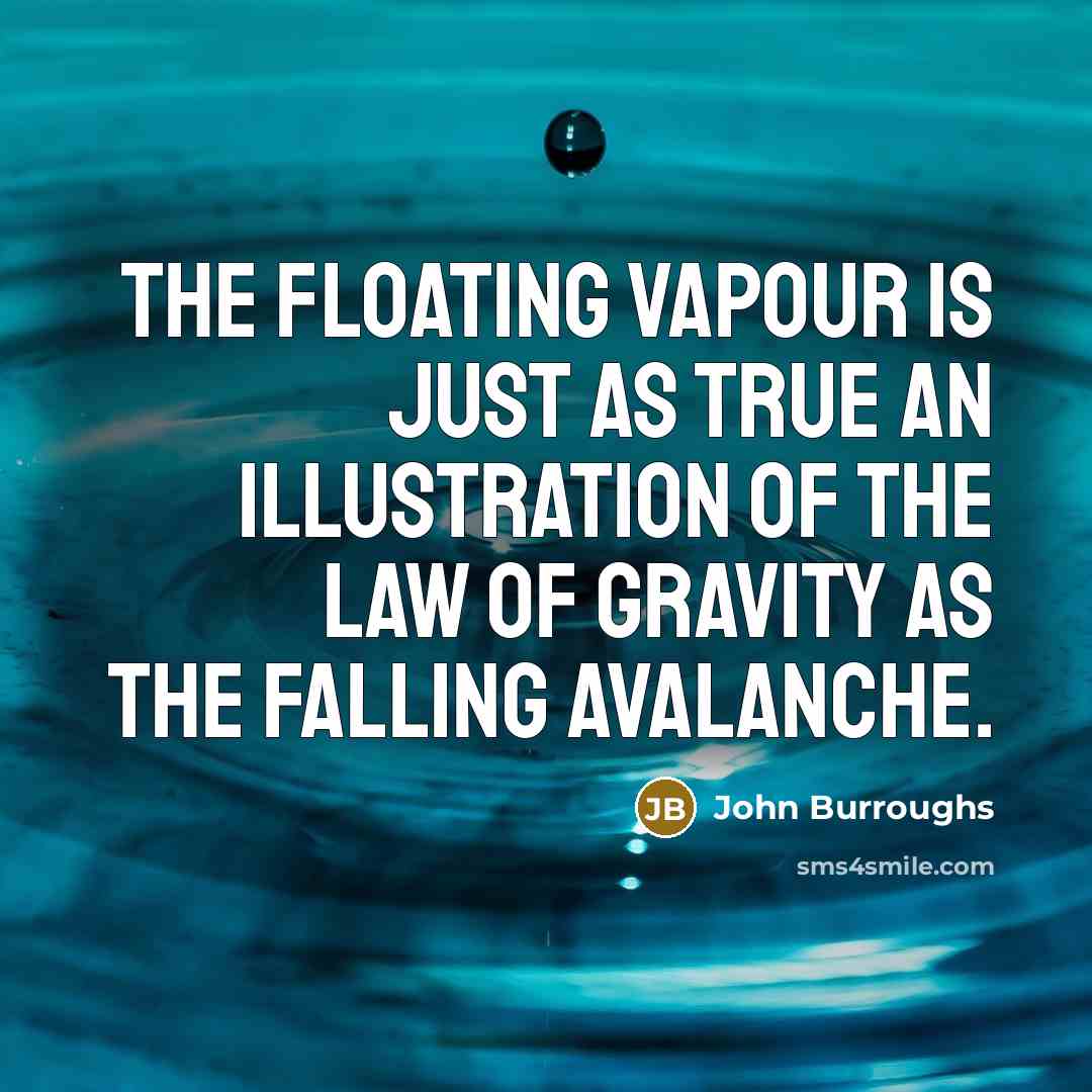 “The floating vapour is just as true an illustration of…” quote by John Burroughs