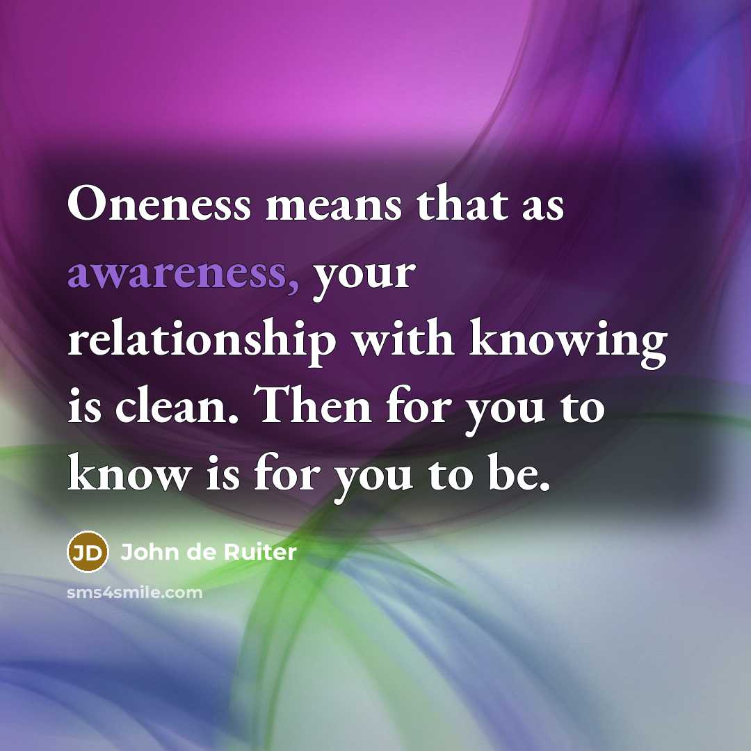 “Oneness means that as awareness, your relationship with knowing is…” quote by John de Ruiter