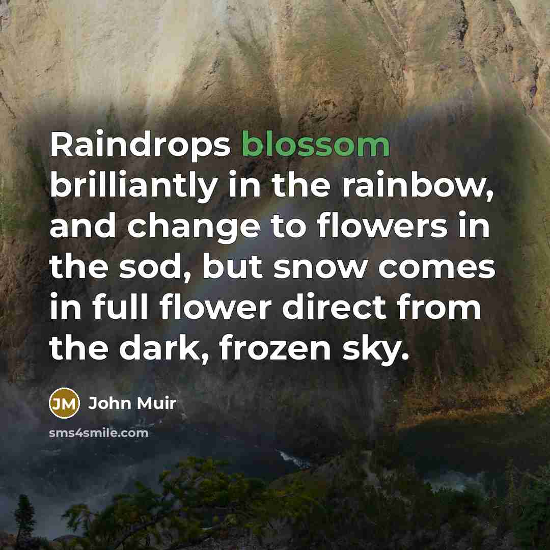 “Raindrops blossom brilliantly in the rainbow, and change to flowers…” quote by John Muir