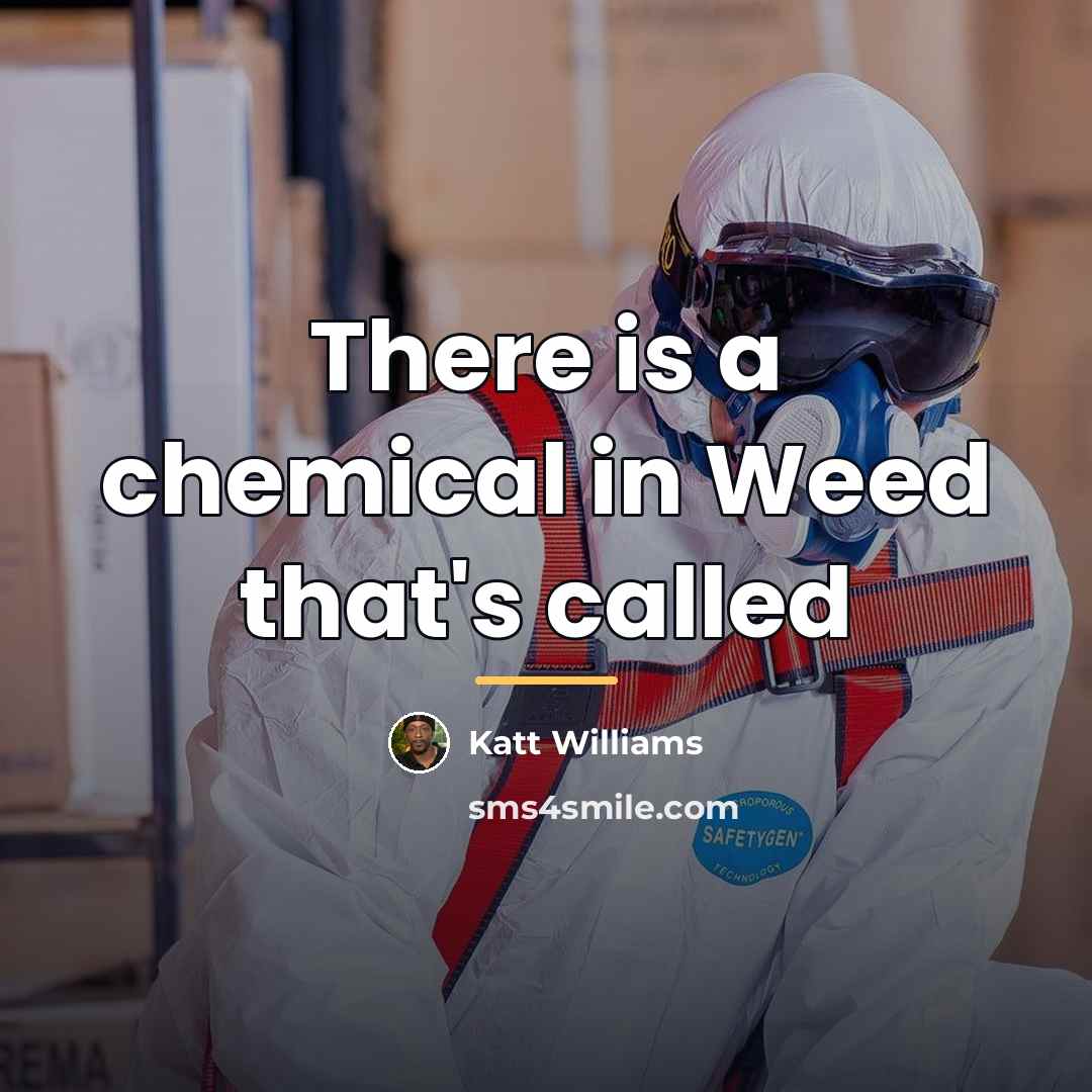 “There is a chemical in Weed that's called…” quote by Katt Williams