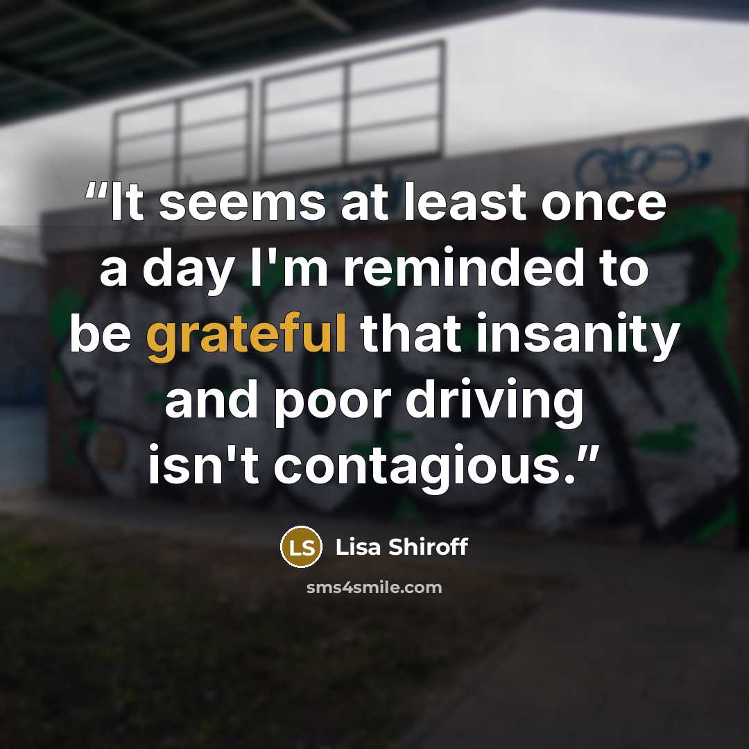 “It seems at least once a day I'm reminded to be grateful that insanity and poor driving isn't contagious.” quote by Lisa Shiroff
