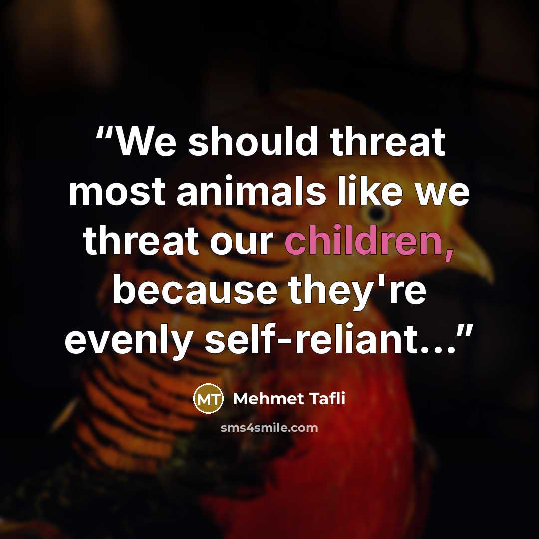 “We should threat most animals like we threat our children, because they're evenly self-reliant...” quote by Mehmet Tafli