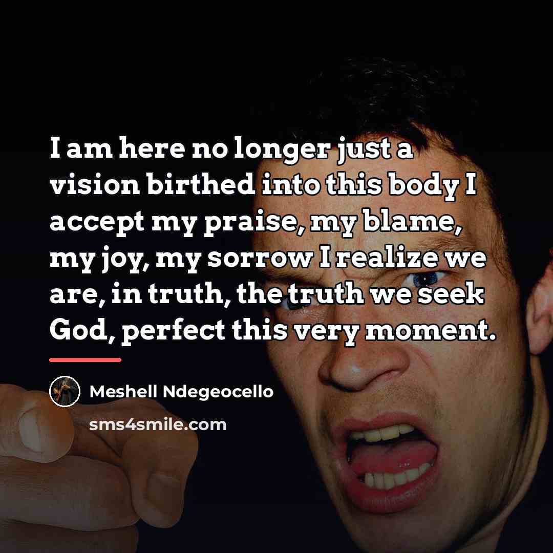 “I am here no longer just a vision birthed into…” quote by Meshell Ndegeocello