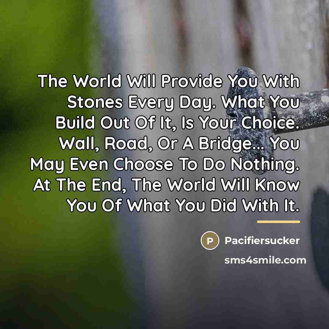“The World Will Provide You With Stones Every Day. What…” quote by Pacifiersucker