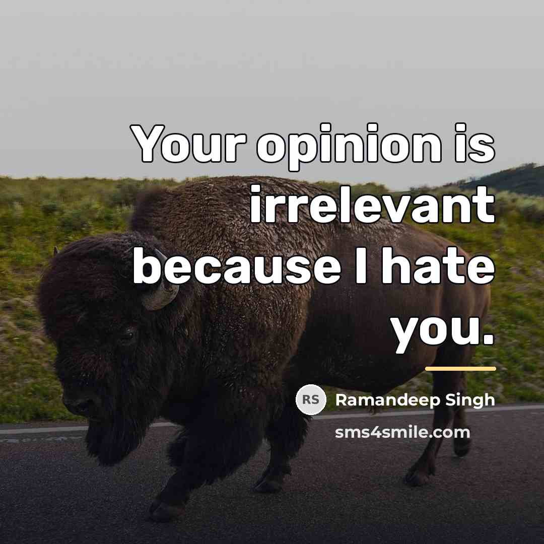 “Your opinion is irrelevant because I hate you.…” quote by Ramandeep Singh