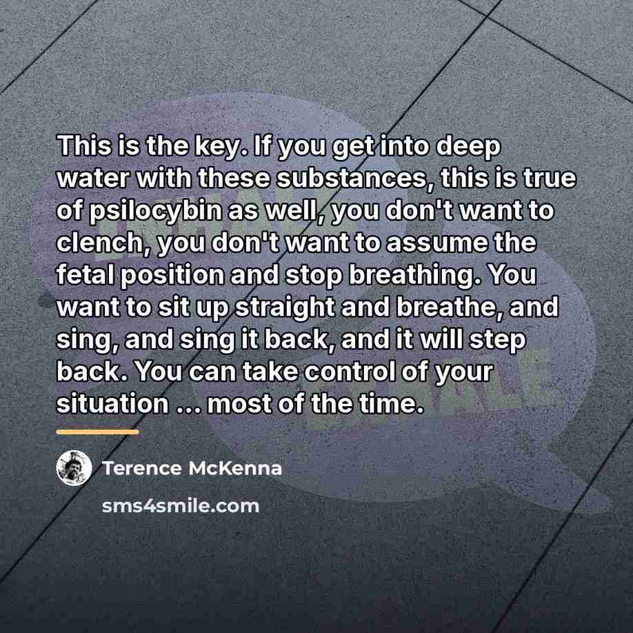 “This is the key. If you get into deep water…” quote by Terence McKenna