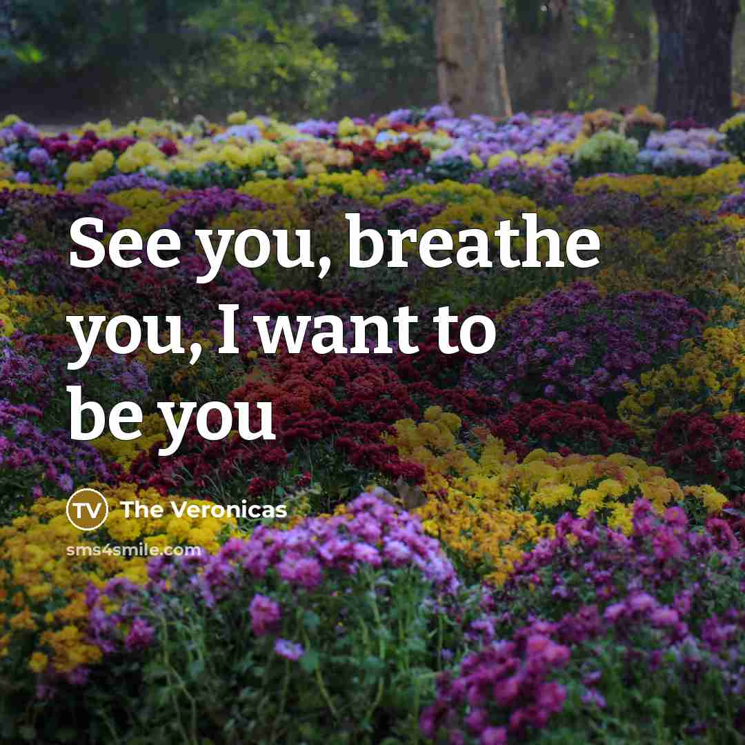 “See you, breathe you, I want to be you…” quote by The Veronicas