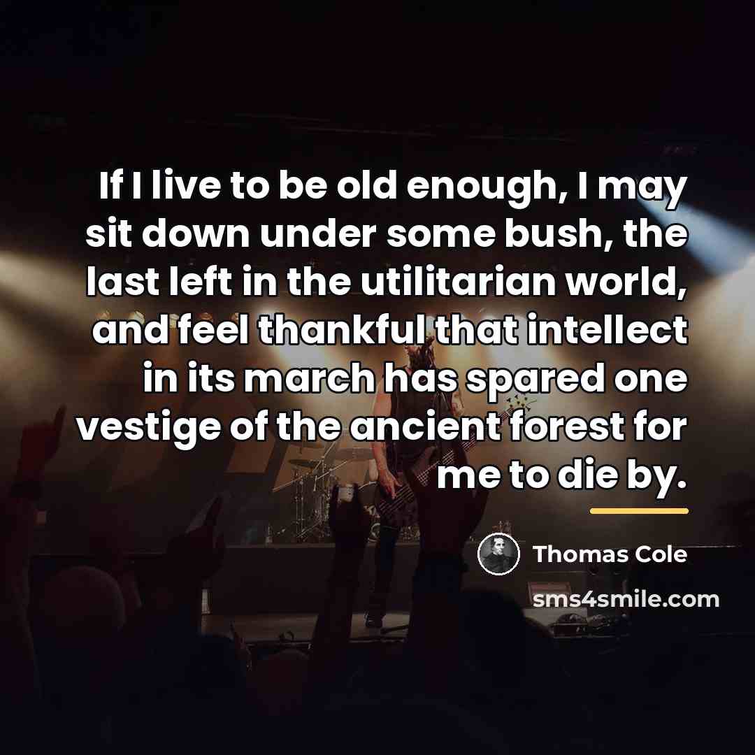 “If I live to be old enough, I may sit…” quote by Thomas Cole