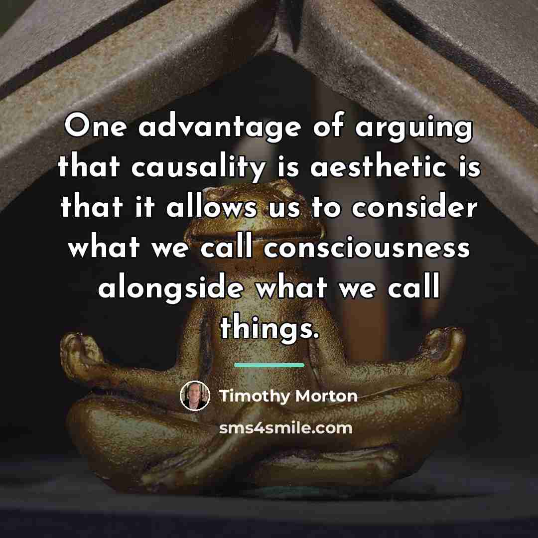 “One advantage of arguing that causality is aesthetic is that…” quote by Timothy Morton
