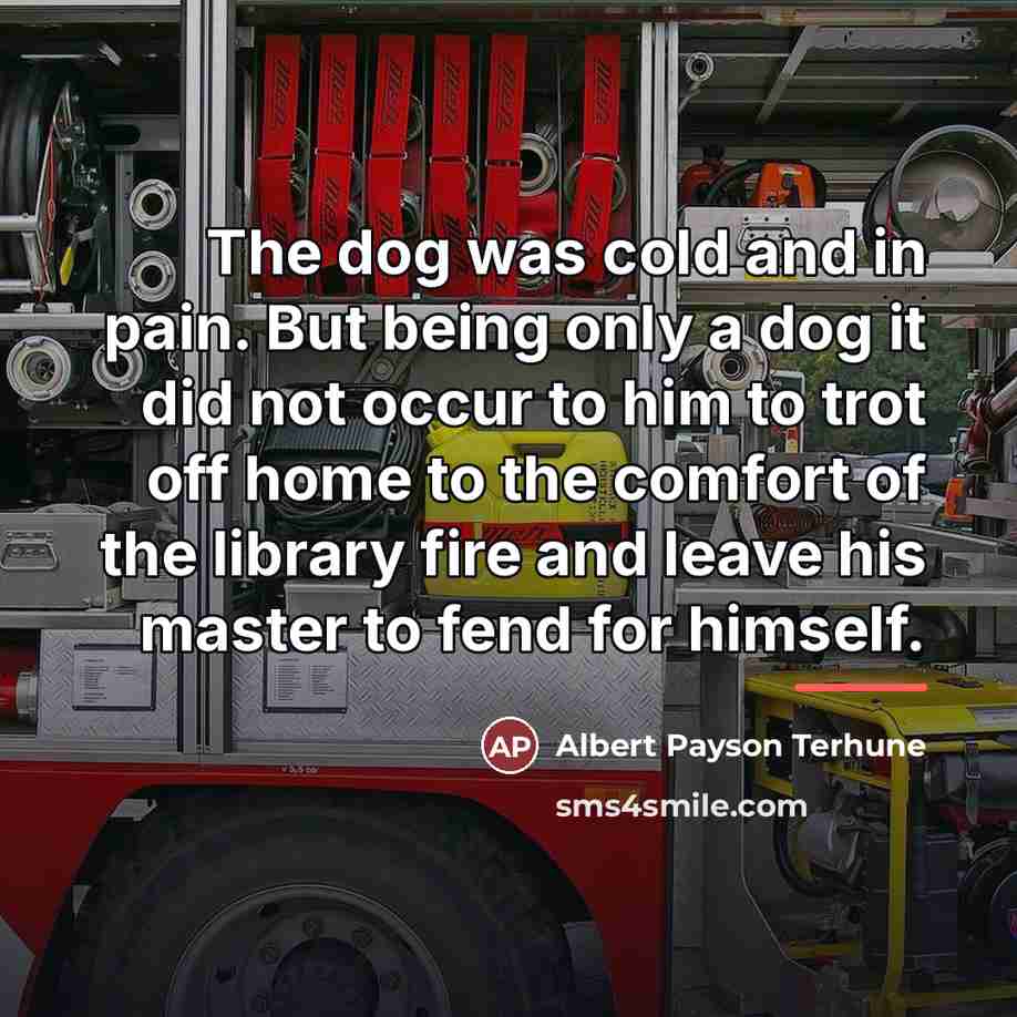 “The dog was cold and in pain. But being only…” quote by Albert Payson Terhune