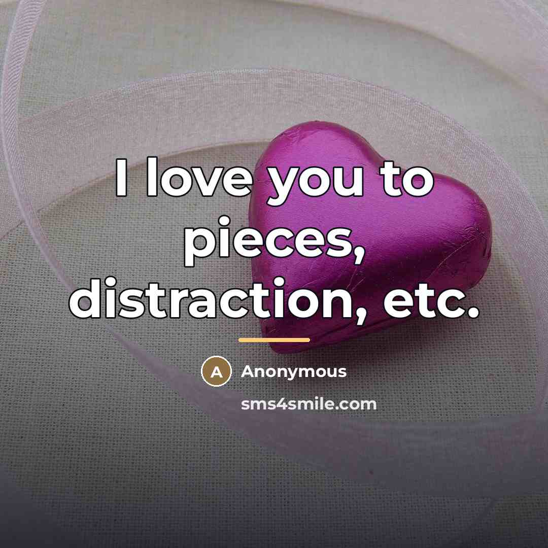 “I love you to pieces, distraction, etc.…” quote by Anonymous