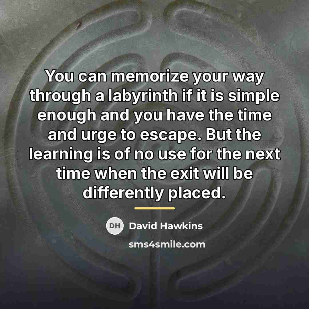 “You can memorize your way through a labyrinth if it…” quote by David Hawkins